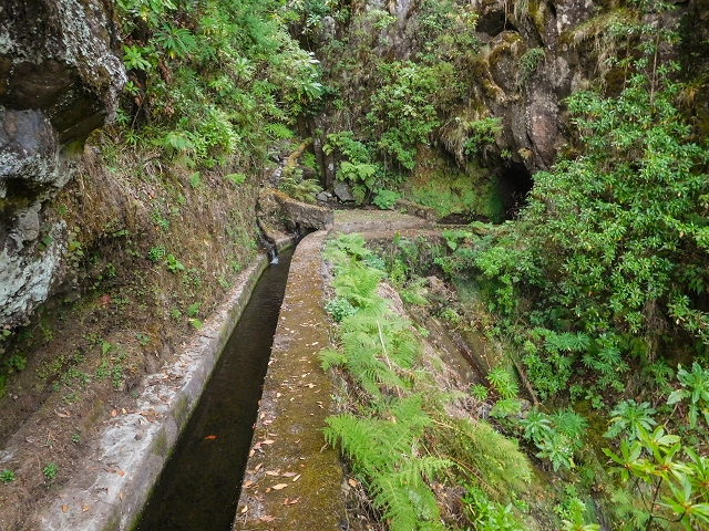 13 August 2017 The great tunnel-rat diploma: From the Madre of the Levada do Norte to the gravel track from Ginjas to Estanquinhos — Crossing of the southern branch of the Ribeira do Folhado — photo 5