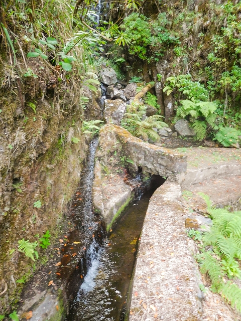 13 August 2017 The great tunnel-rat diploma: From the Madre of the Levada do Norte to the gravel track from Ginjas to Estanquinhos — Crossing of the southern branch of the Ribeira do Folhado — photo 6