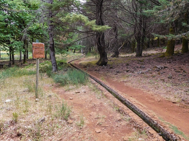 Levadinha da Serra — Na zona do Pico Ruivo do Paul — foto 9