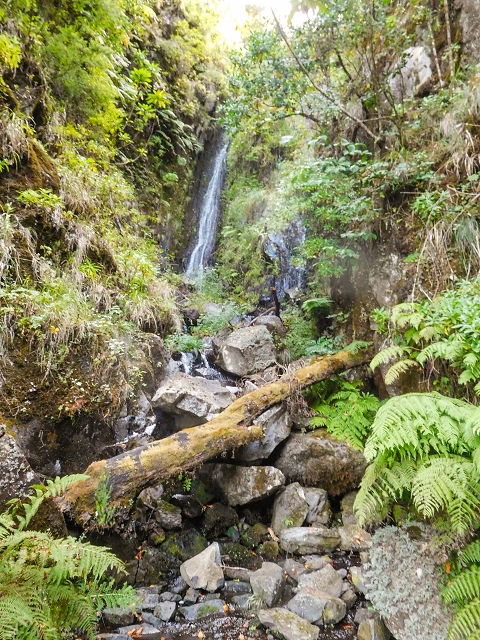 13 August 2017 The great tunnel-rat diploma: From the Madre of the Levada do Norte to the gravel track from Ginjas to Estanquinhos — Crossing of the southern branch of the Ribeira do Folhado — photo 7