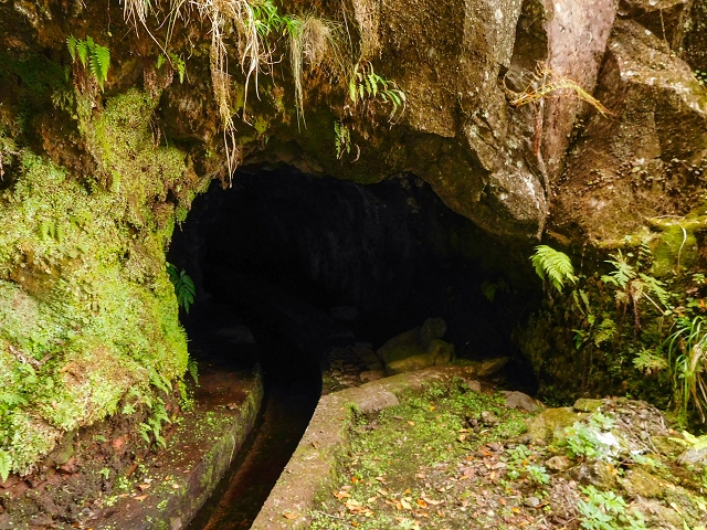 13 August 2017 The great tunnel-rat diploma: From the Madre of the Levada do Norte to the gravel track from Ginjas to Estanquinhos — Crossing of the southern branch of the Ribeira do Folhado — photo 8