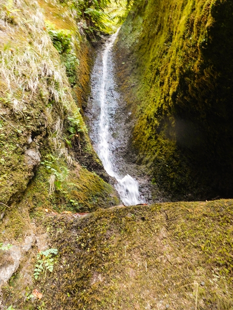 13 August 2017 The great tunnel-rat diploma: From the Madre of the Levada do Norte to the gravel track from Ginjas to Estanquinhos — Crossing of the Corrego da Beira do Lombo Queimado — photo 4