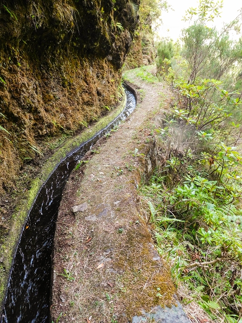 13 August 2017 The great tunnel-rat diploma: From the Madre of the Levada do Norte to the gravel track from Ginjas to Estanquinhos — On towards the Madre — photo 1