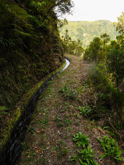 13 August 2017 The great tunnel-rat diploma: From the Madre of the Levada do Norte to the gravel track from Ginjas to Estanquinhos — On towards the Madre — photo 2