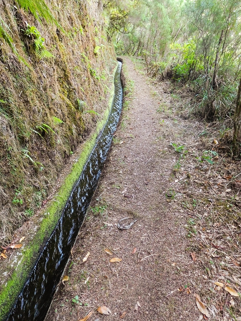 13 August 2017 The great tunnel-rat diploma: From the Madre of the Levada do Norte to the gravel track from Ginjas to Estanquinhos — On towards the Madre — photo 3