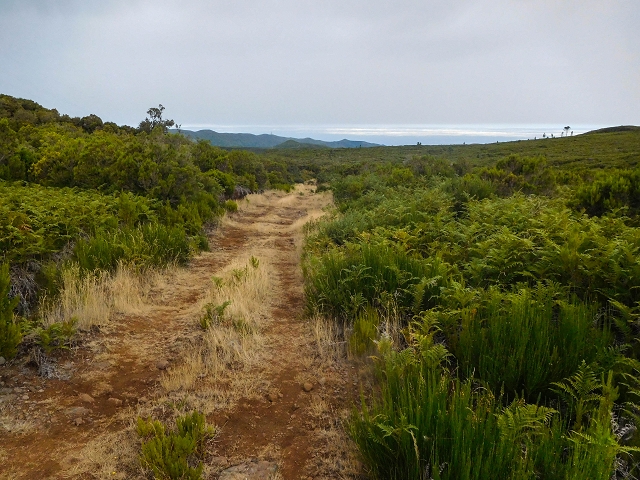 13 August 2017 The great tunnel-rat diploma: From the Madre of the Levada do Norte to the gravel track from Ginjas to Estanquinhos — Via the Fontes Ruivas to the edge of the Paul da Serra — photo 10