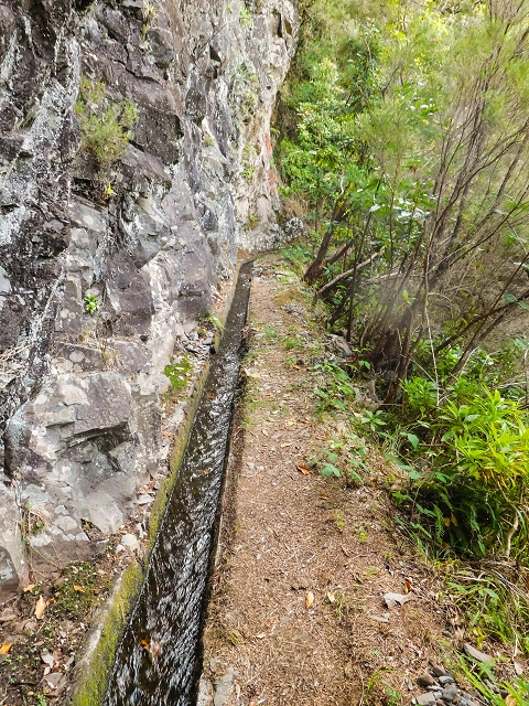 13 August 2017 The great tunnel-rat diploma: From the Madre of the Levada do Norte to the gravel track from Ginjas to Estanquinhos — On towards the Madre — photo 4
