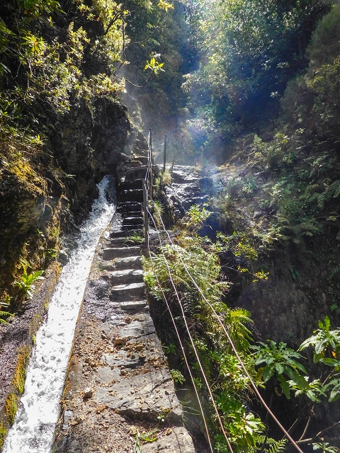 13 August 2017 The great tunnel-rat diploma: From the Madre of the Levada do Norte to the gravel track from Ginjas to Estanquinhos — Madre of the Levada do Norte — photo 1