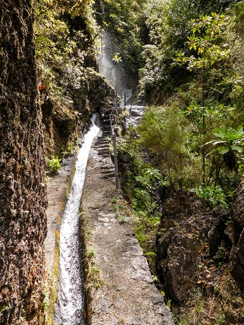 13 August 2017 The great tunnel-rat diploma: From the Madre of the Levada do Norte to the gravel track from Ginjas to Estanquinhos — Madre of the Levada do Norte — photo 9
