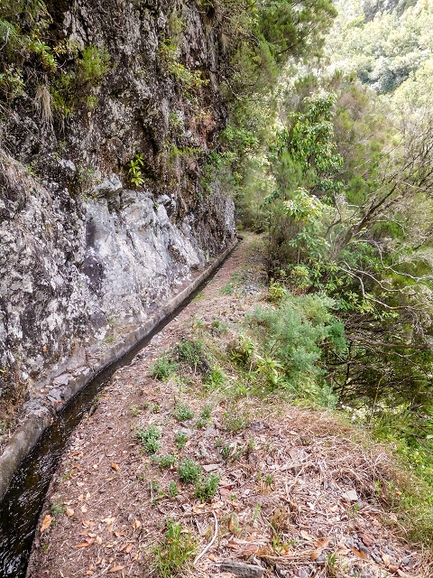 13 August 2017 The great tunnel-rat diploma: From the Madre of the Levada do Norte to the gravel track from Ginjas to Estanquinhos — On towards the Madre — photo 5