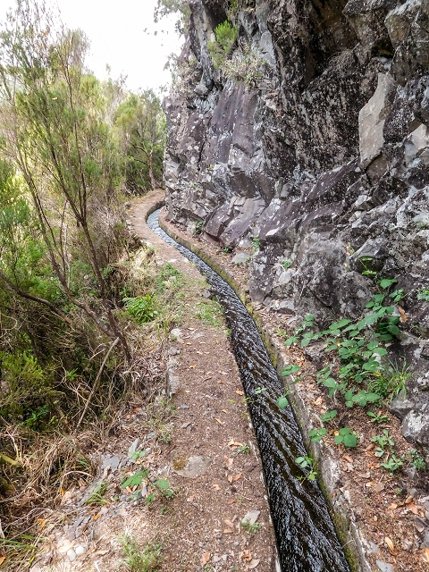 13 August 2017 The great tunnel-rat diploma: From the Madre of the Levada do Norte to the gravel track from Ginjas to Estanquinhos — On towards the Madre — photo 6