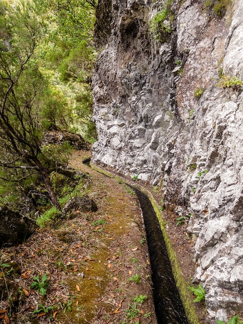 13 August 2017 The great tunnel-rat diploma: From the Madre of the Levada do Norte to the gravel track from Ginjas to Estanquinhos — On towards the Madre — photo 7