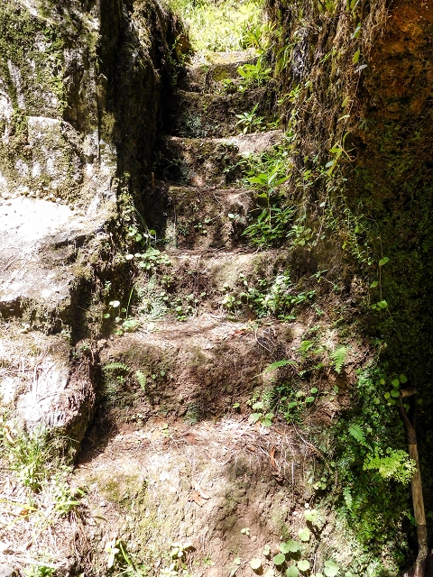 13 August 2017 The great tunnel-rat diploma: From the Madre of the Levada do Norte to the gravel track from Ginjas to Estanquinhos — Crossing of the Corrego da Beira do Lombo Queimado — photo 9