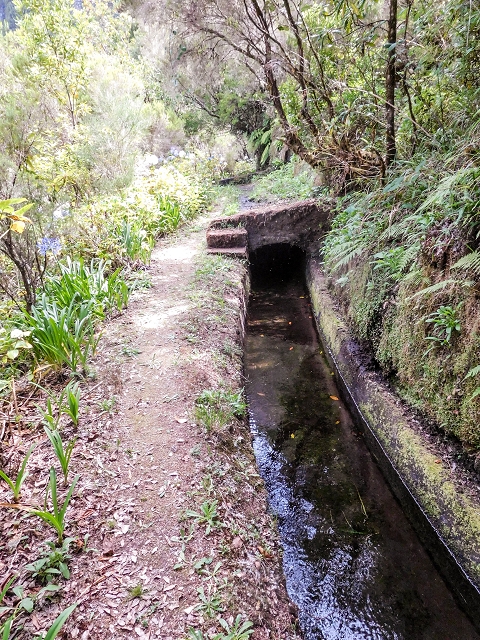13 August 2017 The great tunnel-rat diploma: From the Madre of the Levada do Norte to the gravel track from Ginjas to Estanquinhos — Past the levada house to the great gorge of the Ribeira do Agua do Vento — photo 3