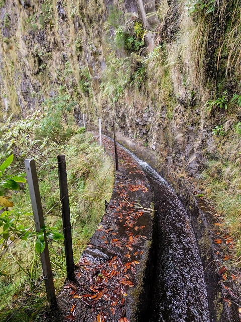 13 August 2017 The great tunnel-rat diploma: From the Madre of the Levada do Norte to the gravel track from Ginjas to Estanquinhos — Past the levada house to the great gorge of the Ribeira do Agua do Vento — photo 6