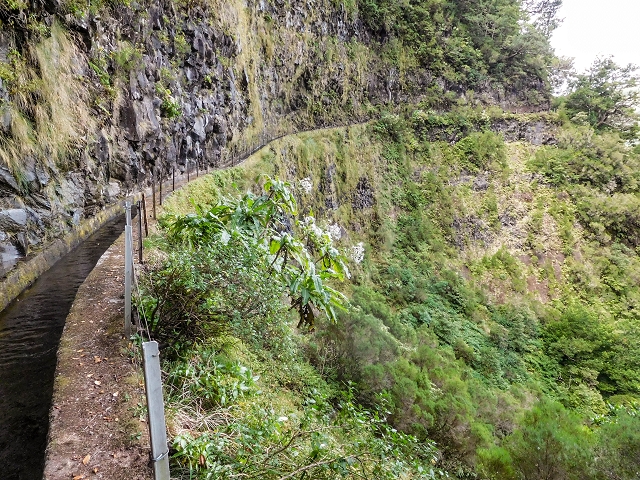 13 August 2017 The great tunnel-rat diploma: From the Madre of the Levada do Norte to the gravel track from Ginjas to Estanquinhos — Past the levada house to the great gorge of the Ribeira do Agua do Vento — photo 8