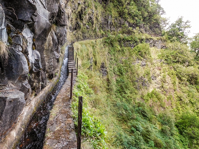 13 August 2017 The great tunnel-rat diploma: From the Madre of the Levada do Norte to the gravel track from Ginjas to Estanquinhos — Past the levada house to the great gorge of the Ribeira do Agua do Vento — photo 11