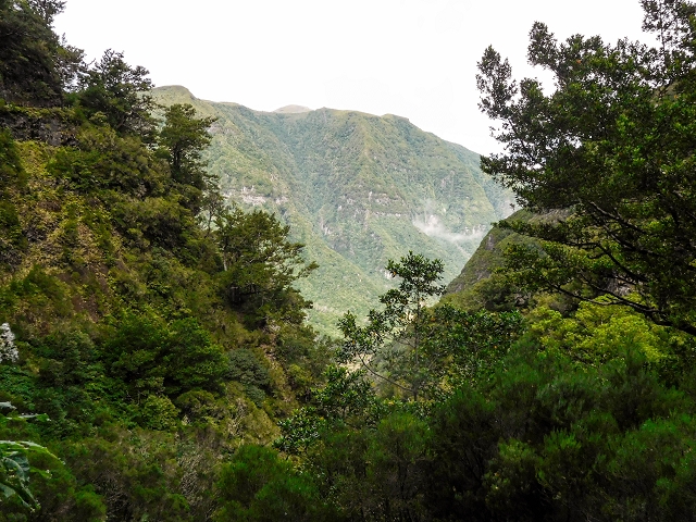 13 August 2017 The great tunnel-rat diploma: From the Madre of the Levada do Norte to the gravel track from Ginjas to Estanquinhos — Past the levada house to the great gorge of the Ribeira do Agua do Vento — photo 12