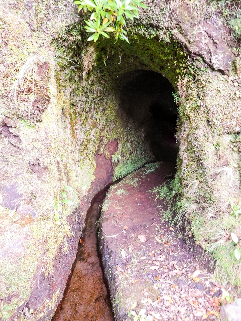 13 August 2017 The great tunnel-rat diploma: From the Madre of the Levada do Norte to the gravel track from Ginjas to Estanquinhos — Water tunnel — photo 1