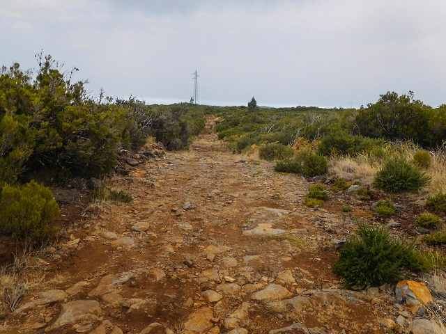 13 August 2017 The great tunnel-rat diploma: From the Madre of the Levada do Norte to the gravel track from Ginjas to Estanquinhos — Via the Fontes Ruivas to the edge of the Paul da Serra — photo 13