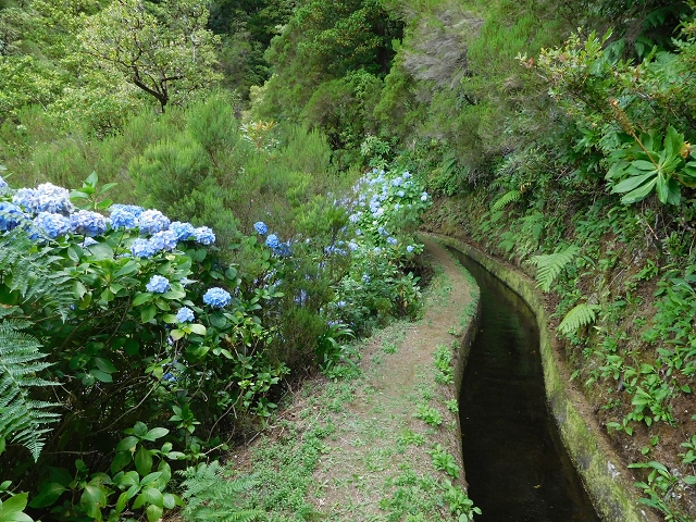 13 August 2017 The great tunnel-rat diploma: From the Madre of the Levada do Norte to the gravel track from Ginjas to Estanquinhos — The bridge before the Terra Cha tunnel and the feeder levada — photo 1