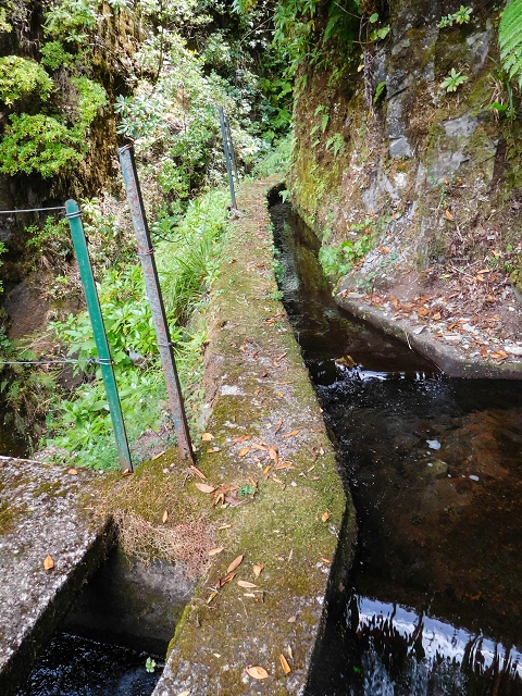 13 August 2017 The great tunnel-rat diploma: From the Madre of the Levada do Norte to the gravel track from Ginjas to Estanquinhos — The bridge before the Terra Cha tunnel and the feeder levada — photo 4