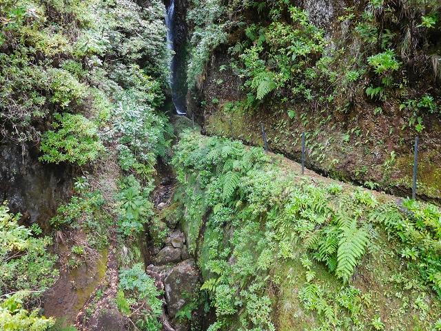 13 August 2017 The great tunnel-rat diploma: From the Madre of the Levada do Norte to the gravel track from Ginjas to Estanquinhos — The bridge before the Terra Cha tunnel and the feeder levada — photo 6
