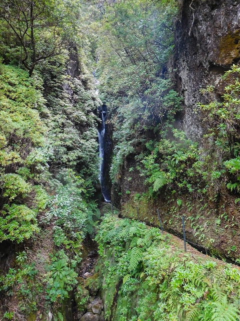 13 August 2017 The great tunnel-rat diploma: From the Madre of the Levada do Norte to the gravel track from Ginjas to Estanquinhos — The bridge before the Terra Cha tunnel and the feeder levada — photo 7