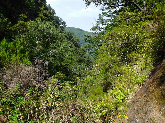 13 August 2017 The great tunnel-rat diploma: From the Madre of the Levada do Norte to the gravel track from Ginjas to Estanquinhos — The bridge before the Terra Cha tunnel and the feeder levada — photo 9
