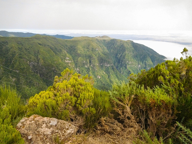 13 August 2017 The great tunnel-rat diploma: From the Madre of the Levada do Norte to the gravel track from Ginjas to Estanquinhos — Via the Fontes Ruivas to the edge of the Paul da Serra — photo 14