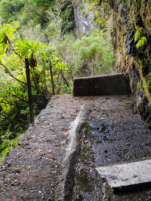 13 August 2017 The great tunnel-rat diploma: From the Madre of the Levada do Norte to the gravel track from Ginjas to Estanquinhos — The window at the crossing of the Ribeira de Joao Delgado — photo 2