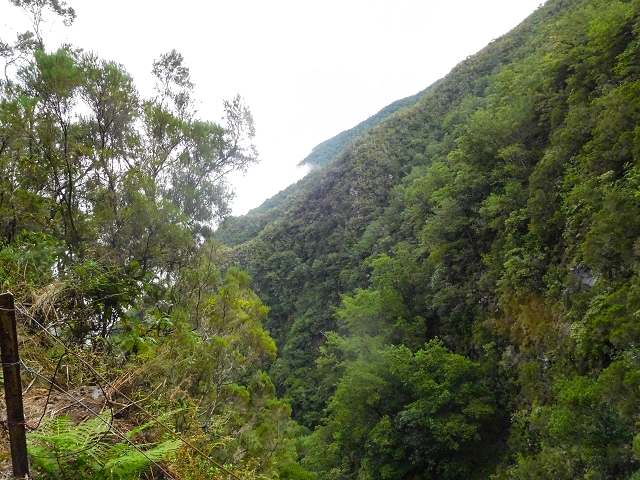 13 August 2017 The great tunnel-rat diploma: From the Madre of the Levada do Norte to the gravel track from Ginjas to Estanquinhos — The window at the crossing of the Ribeira de Joao Delgado — photo 7