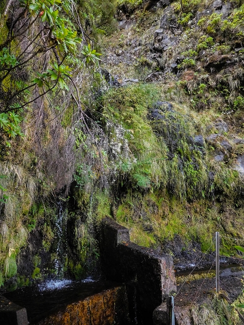 13 August 2017 The great tunnel-rat diploma: From the Madre of the Levada do Norte to the gravel track from Ginjas to Estanquinhos — The window at the crossing of the Ribeira de Joao Delgado — photo 10