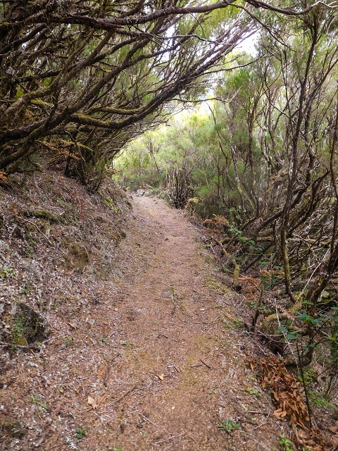 13 August 2017 The great tunnel-rat diploma: From the Madre of the Levada do Norte to the gravel track from Ginjas to Estanquinhos — On the Lombo das Barbinhas to the Norte — photo 1