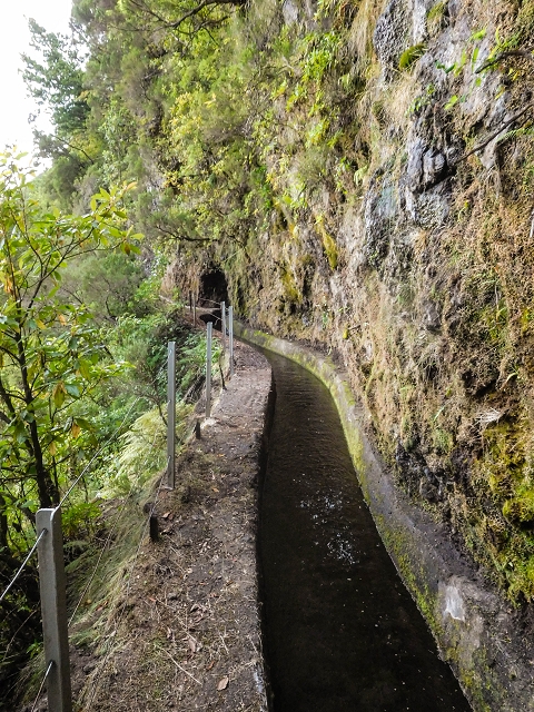 13 August 2017 The great tunnel-rat diploma: From the Madre of the Levada do Norte to the gravel track from Ginjas to Estanquinhos — The window at the crossing of the Ribeira de Joao Delgado — photo 12