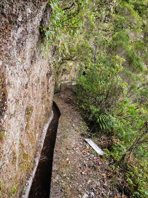 13 August 2017 The great tunnel-rat diploma: From the Madre of the Levada do Norte to the gravel track from Ginjas to Estanquinhos — The window at the crossing of the Ribeira de Joao Delgado — photo 14