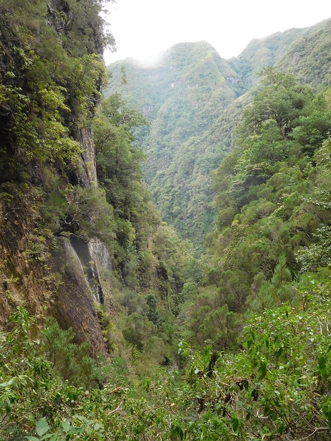 13 August 2017 The great tunnel-rat diploma: From the Madre of the Levada do Norte to the gravel track from Ginjas to Estanquinhos — In the valley of the Ribeira do Inferno — photo 2