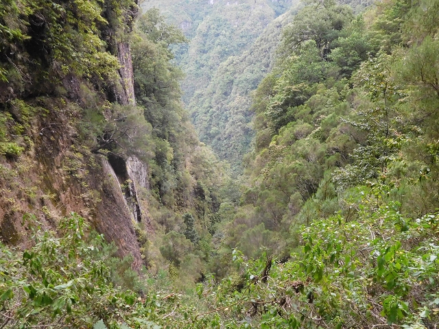 13 August 2017 The great tunnel-rat diploma: From the Madre of the Levada do Norte to the gravel track from Ginjas to Estanquinhos — In the valley of the Ribeira do Inferno — photo 3
