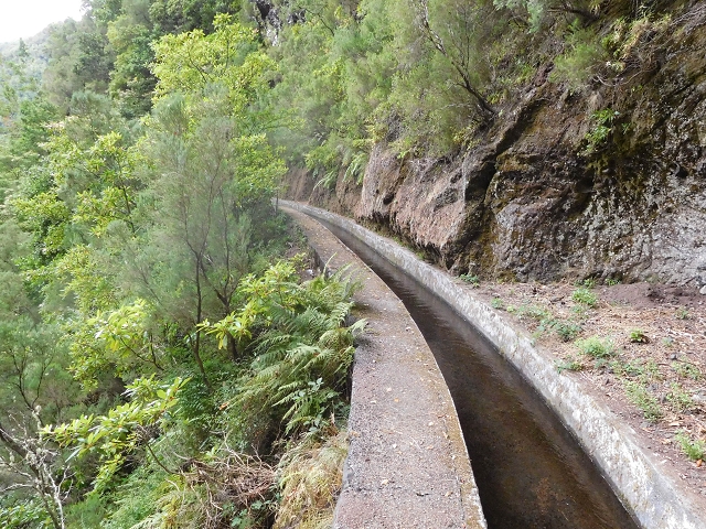 13 August 2017 The great tunnel-rat diploma: From the Madre of the Levada do Norte to the gravel track from Ginjas to Estanquinhos — In the valley of the Ribeira do Inferno — photo 4