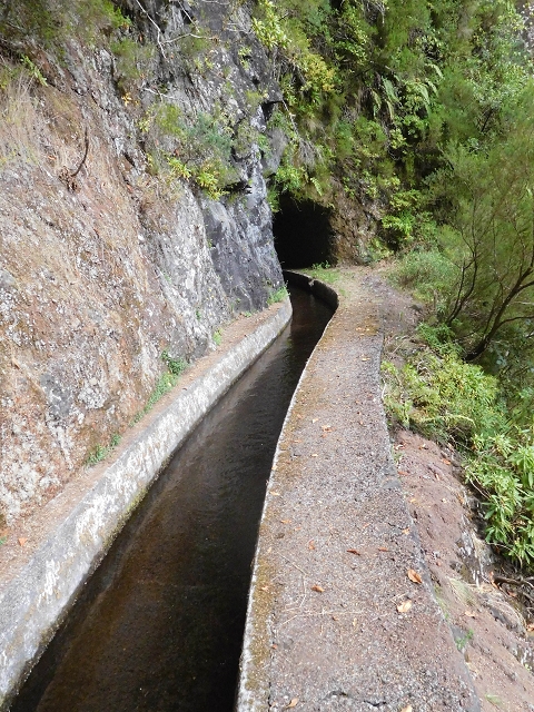 13 August 2017 The great tunnel-rat diploma: From the Madre of the Levada do Norte to the gravel track from Ginjas to Estanquinhos — In the valley of the Ribeira do Inferno — photo 5