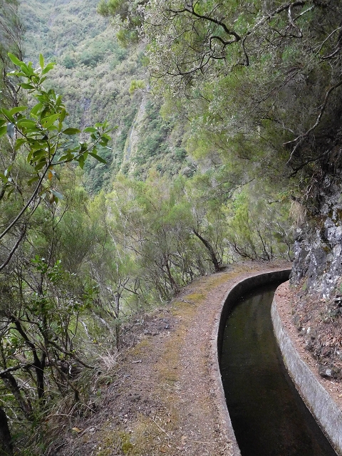 13 August 2017 The great tunnel-rat diploma: From the Madre of the Levada do Norte to the gravel track from Ginjas to Estanquinhos — In the valley of the Ribeira do Inferno — photo 6