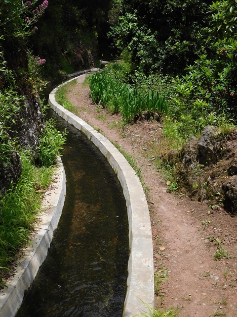 24.06.2016 Levada Nova — Abstieg und östliche Bachpassage — Foto 10