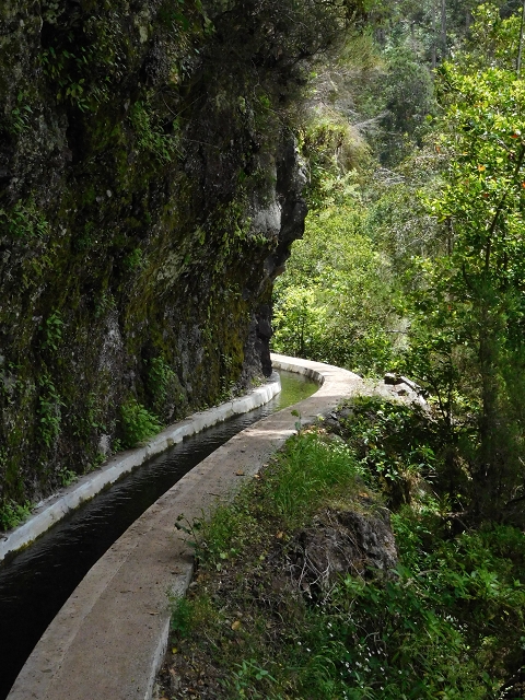 24.06.2016 Levada Nova — Abstieg und östliche Bachpassage — Foto 11