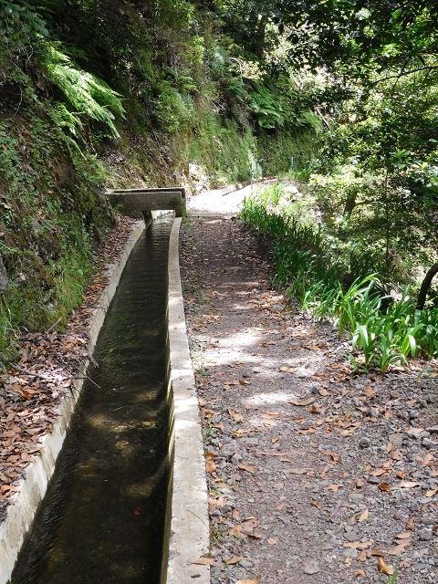 24.06.2016 Levada Nova — Abstieg und östliche Bachpassage — Foto 12