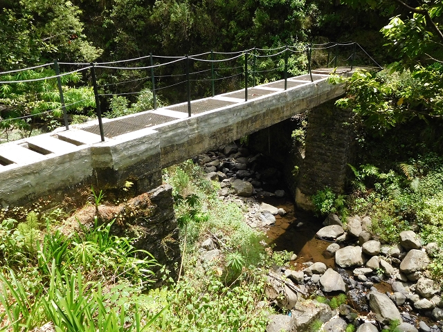 24.06.2016 Levada Nova — Abstieg und östliche Bachpassage — Foto 16