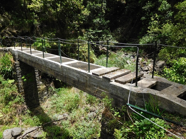 24.06.2016 Levada Nova — Abstieg und östliche Bachpassage — Foto 17