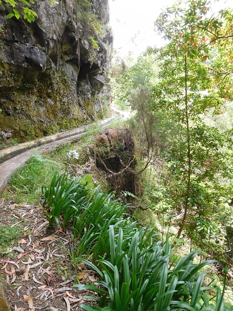 24.06.2016 Levada Nova — Abstieg und östliche Bachpassage — Foto 19