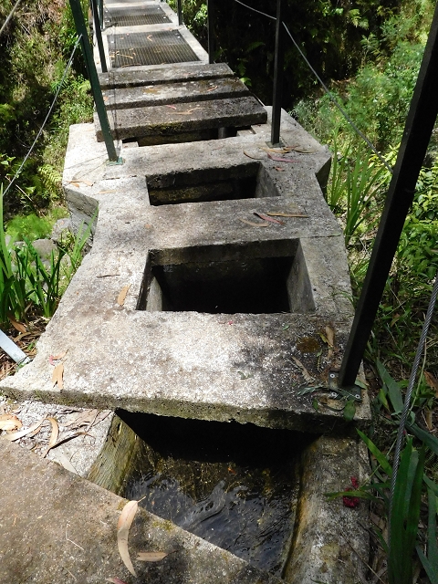 24.06.2016 Levada Nova — Abstieg und östliche Bachpassage — Foto 22