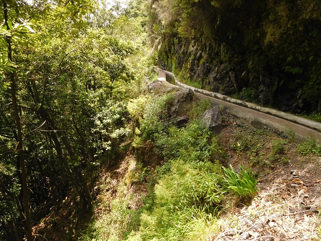 24.06.2016 Levada Nova — Abstieg und östliche Bachpassage — Foto 23