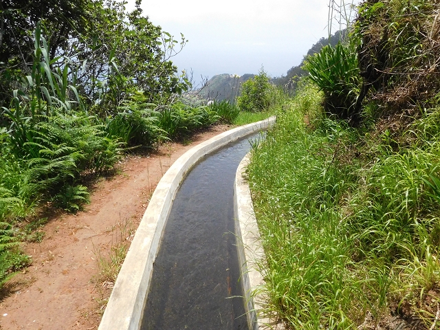 24.06.2016 Levada Nova — Abstieg und östliche Bachpassage — Foto 25